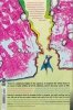SHADE THE CHANGING MAN BY PETER MILLIGAN AND CHRIS BACHALO OMNIBUS VOL 01 HC [9781799500308]